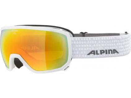 Lyžařské brýle Alpina Scarabeo HM - white