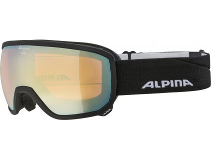 Lyžařské brýle Alpina Scarabeo HM - black matt