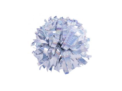 6 poms holographic silver