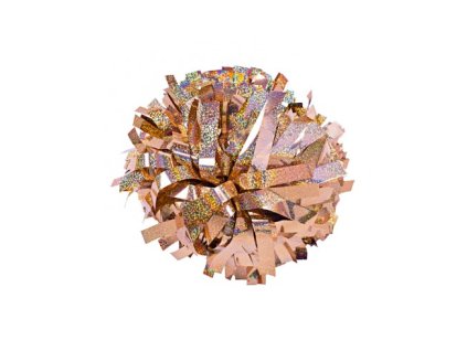 6 poms holographic gold