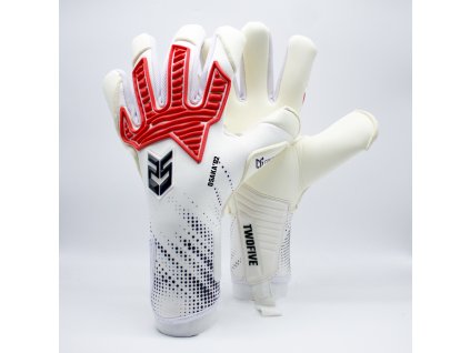 osaka 02 2024 pro preview 1