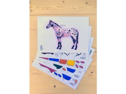 Oblékací koník z papíru Flekáč