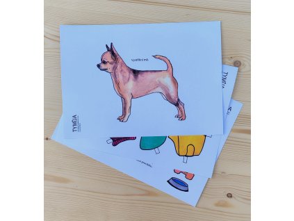 Oblékací pejsek z papíru Čivava k vystřižení