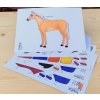 Oblékací koník z papíru Palomino