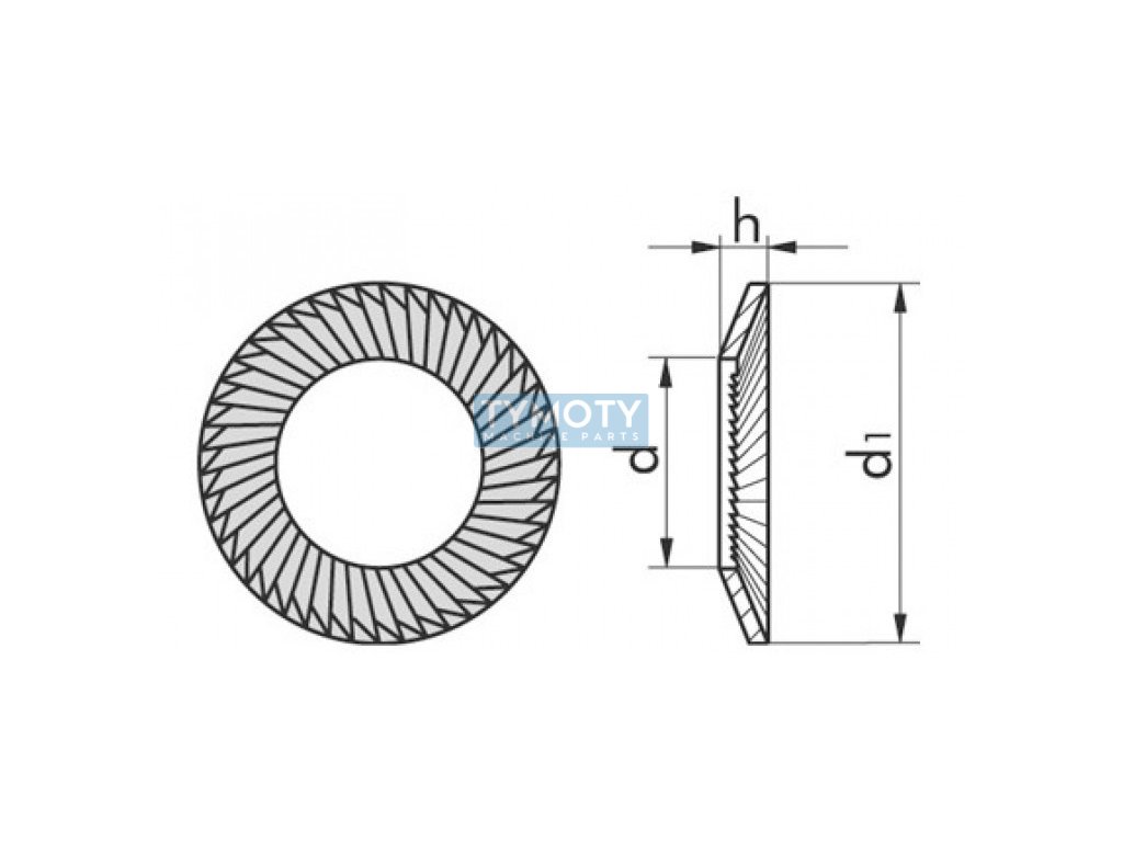 Lock washer SCHNORR type S M5 / 5.3 galvanized