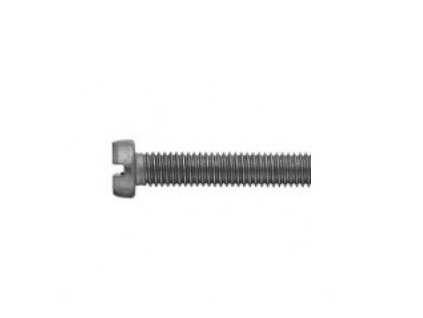 Screw cylindrical head - groove DIN 84 M6x8