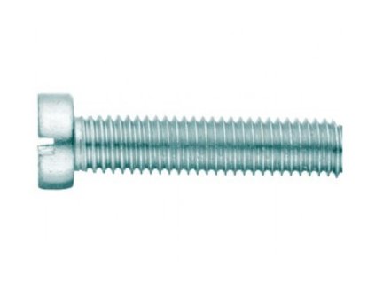 Screw cylindrical head - groove DIN 84 M4x35 galvanized