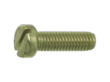 Screw cylindrical head - groove DIN 84 M6x50 brass