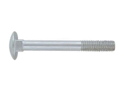 Door screw DIN 603 M6x12 4.6 galvanized