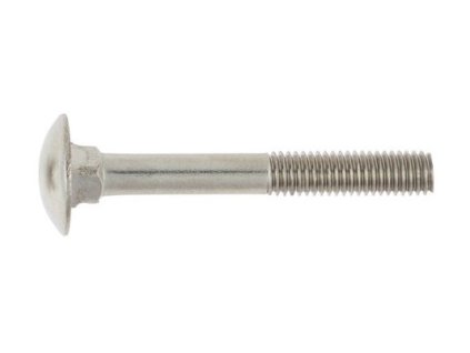 Door screw DIN 603 M6x100 stainless steel A2