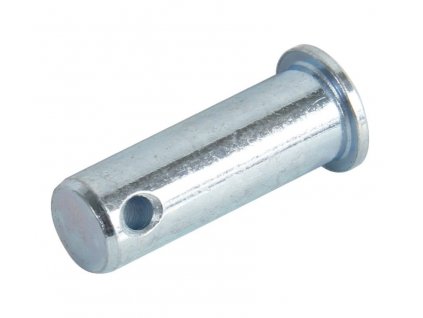 Stift mit Kopf DIN 1444B 12x60x54,5x3,2 verzinkt