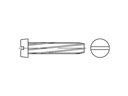 Threaded screw slot DIN 7513B M3x10 galvanized
