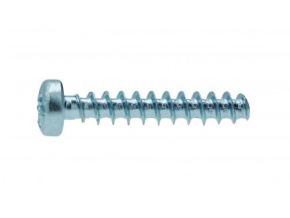Plastic screw cylindrical head-pozdriv 2.5x10 zinc