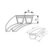 Multi V-belt 2-HB 3350 La (B 132) Rubena UniBP