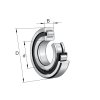 FAG NUP 305-E-XL-TVP2-C3 Rollenlager