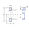 SKF QJ 203 N2MA/C2L négypontos csapágy