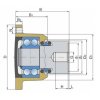 Unitate de rulment FKL PL-127-G