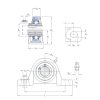 SKF UCP 214 bearing unit