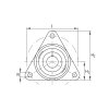 INA PCFTR 17 triangular bearing unit