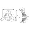 INA PCFTR 45 triangular bearing unit