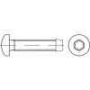 Thread forming screw TORX DIN 7500C M6x10 galvanized