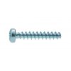 Plastic screw cylindrical head-pozdriv 4x10 galvanized