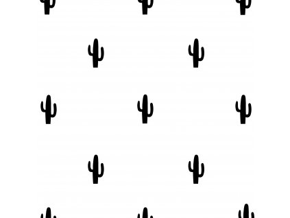 kaktusy2