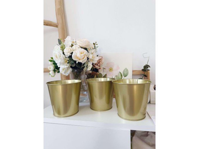 a85cd6e0 f826 4c82 88b9 35b4295779fa