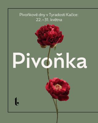 Pivoňková sezóna je oficiálně nejoblíbenější období roku. A upřímně… chápeme proč. Jsou velké, voňavé, romantické a dělají...