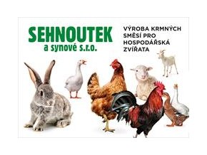 rceayw rcea plakat 002 poslat