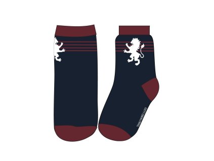 Ponožky Harry Potter