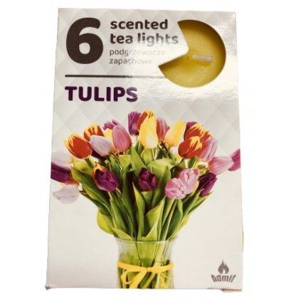 ADMIT Tulips vonne sviečky 6ks