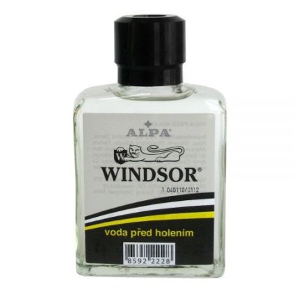 39877 windsor voda pred holenim 100ml