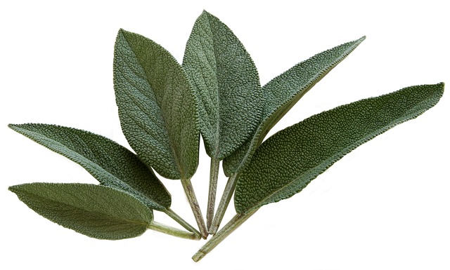 sage-74326_640