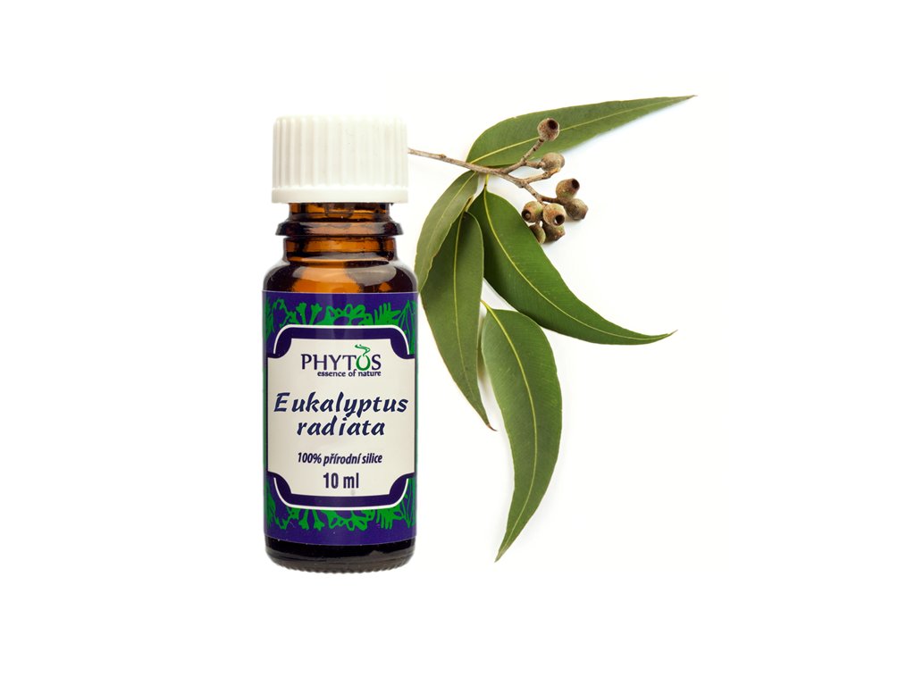 eukalyptus radiata olej