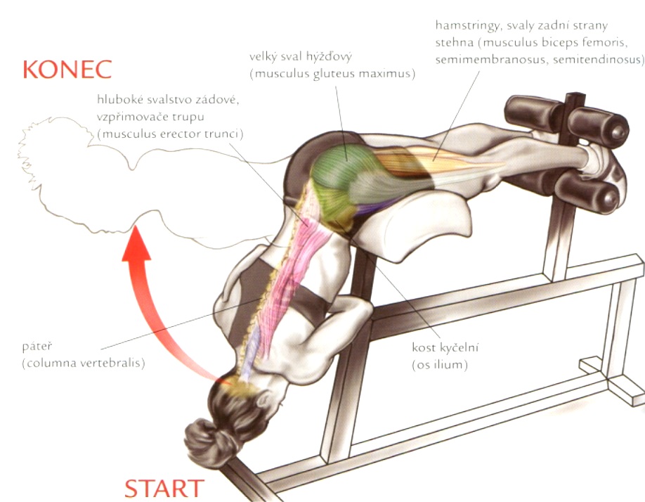 Cviky na hamstringy (zadnú časť stehien) 