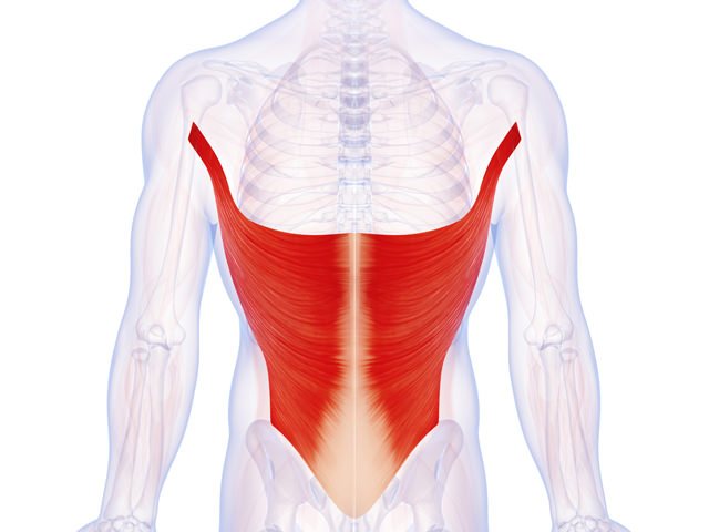 Cviky na chrbát (Latissimus) 