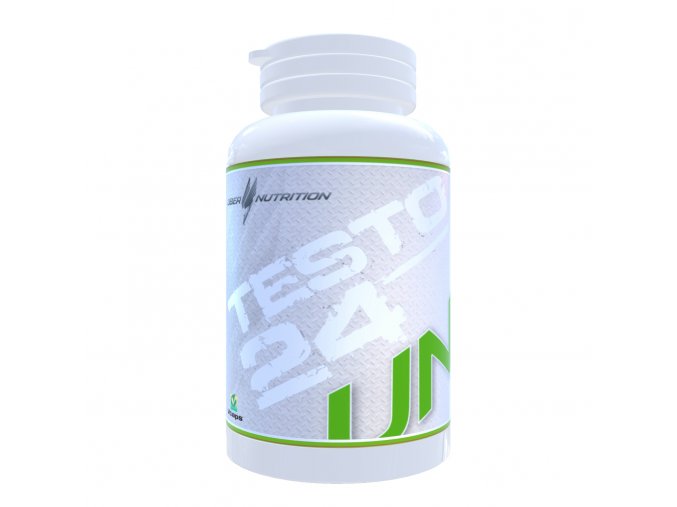testo24 render 7