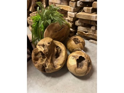 koule teak root