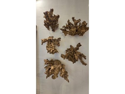 c6a068e6 8195 456b a618 e2e6c7ee85cc