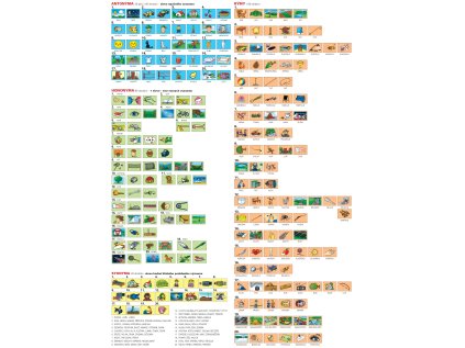 HRÁTKY SE SLOVY (ZŠ) (Kartičky Bez kartiček)