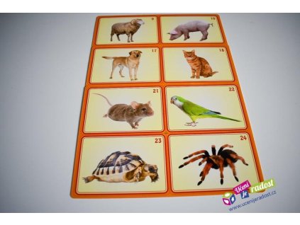 1667 1 domaci a hospodarska zvirata