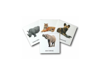 1982 trislozkove karty ohrozene druhy suchozemske