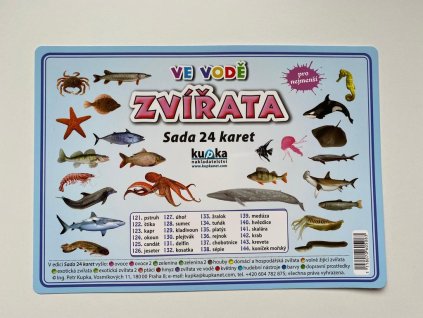 2503 zvirata ve vode