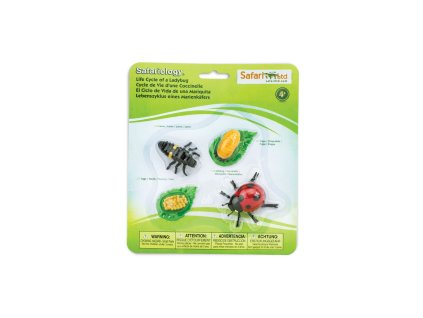 2557 zivotni cyklus slunecko sedmitecne