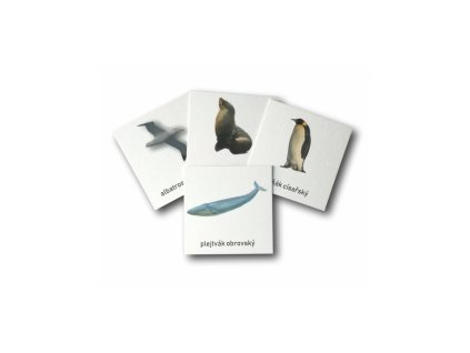 trislozkove karty antarktida zalaminovane