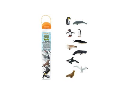 2836 tuba antarktida