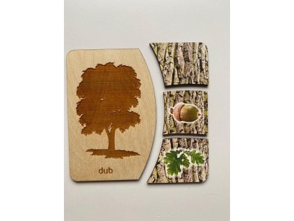 2869 stromy kura plod list