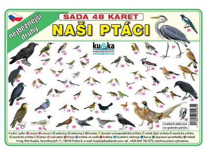 sada 48 karet nasi ptaci 6.jpg.big