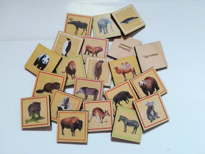 vyr 119IMG 20170809 105713